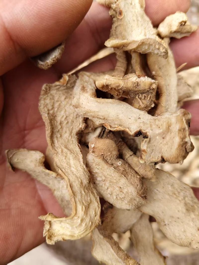 精品黄精，产地货源，品质保证，欢迎各地老板来电洽谈