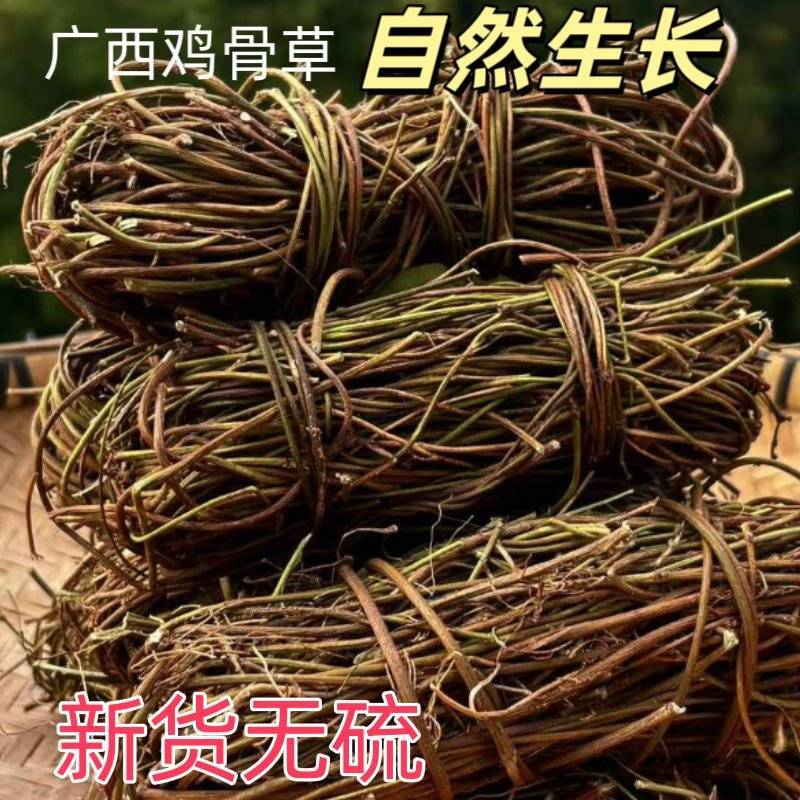 广西鸡骨草