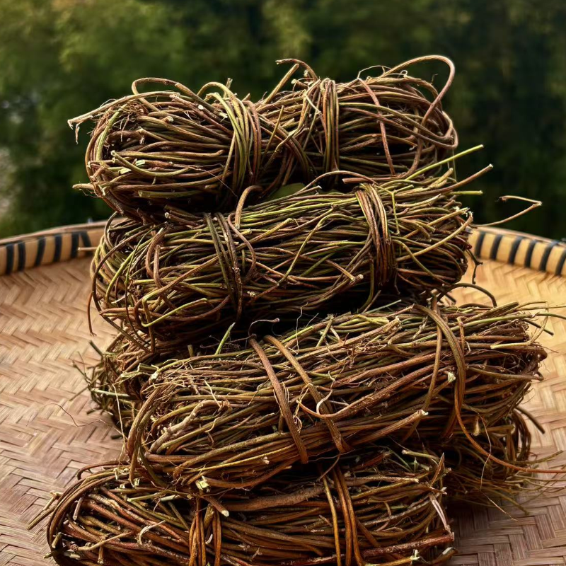 广西鸡骨草