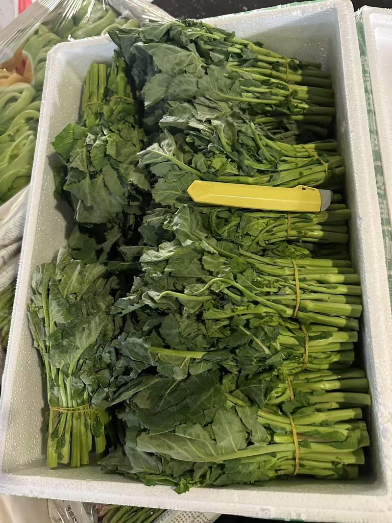 板蓝根青菜
