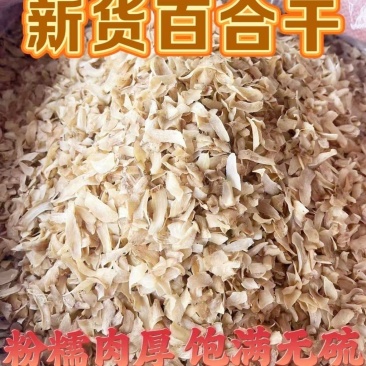 兰州甜百合干源头直发
