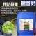 糖醇钙螯合钙果树蔬菜防裂冲施肥叶面肥膨果防水溶肥钙肥液体