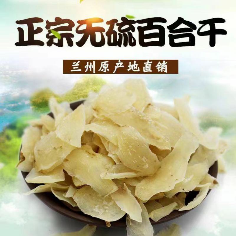 甜百合新挖百合新鲜食用甘肃非干货生白合干手