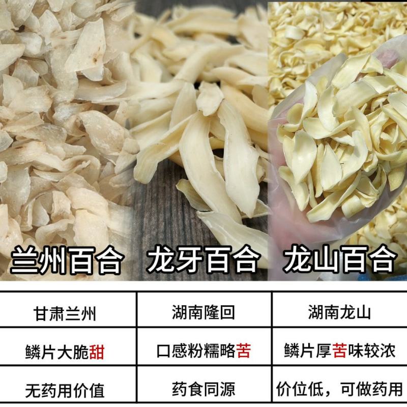 甜百合新挖百合新鲜食用甘肃非干货生白合干手