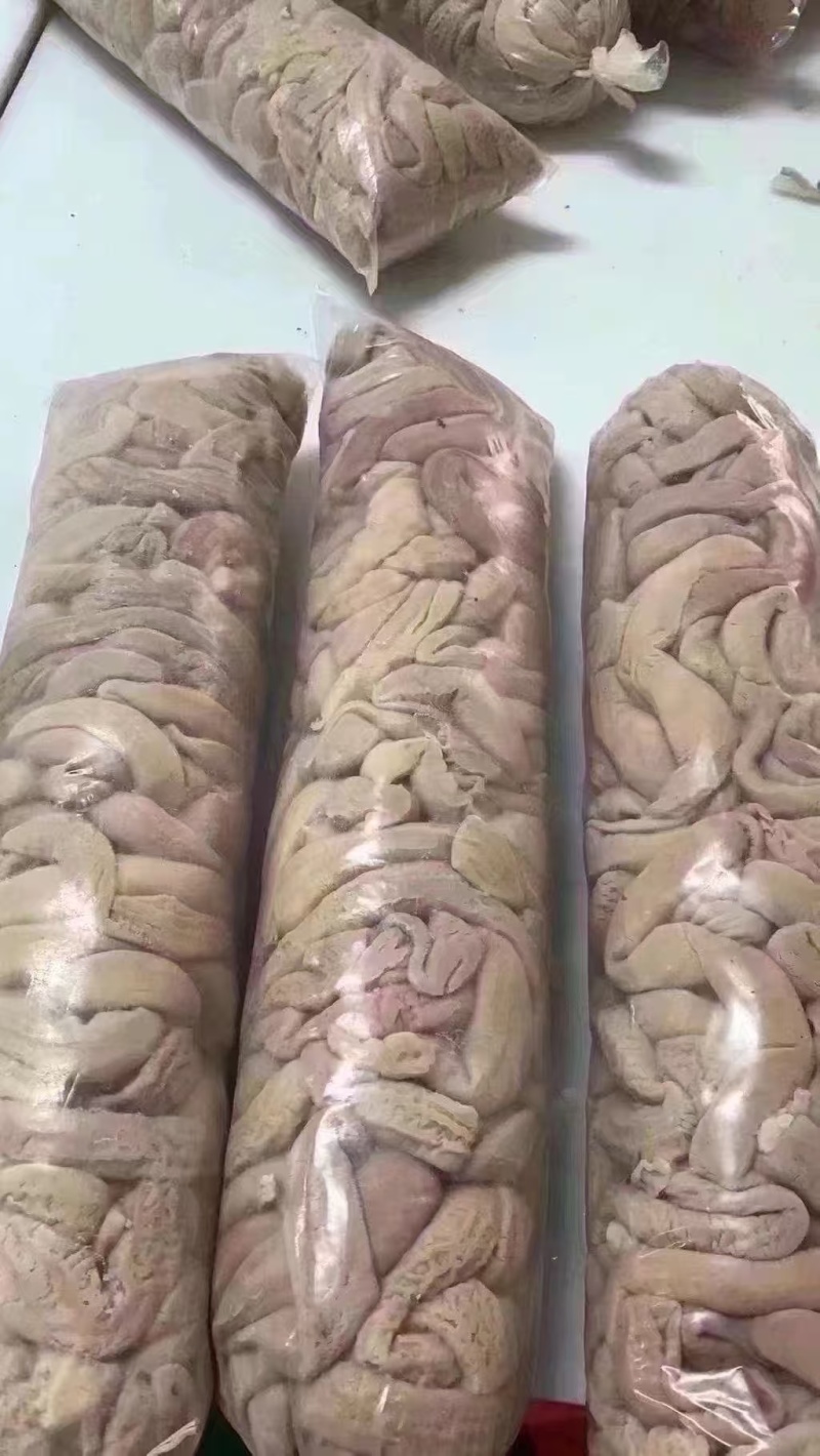 水煮熟牛圆肠，牛杂煲烧烤可用，价低，需要的老板联系我