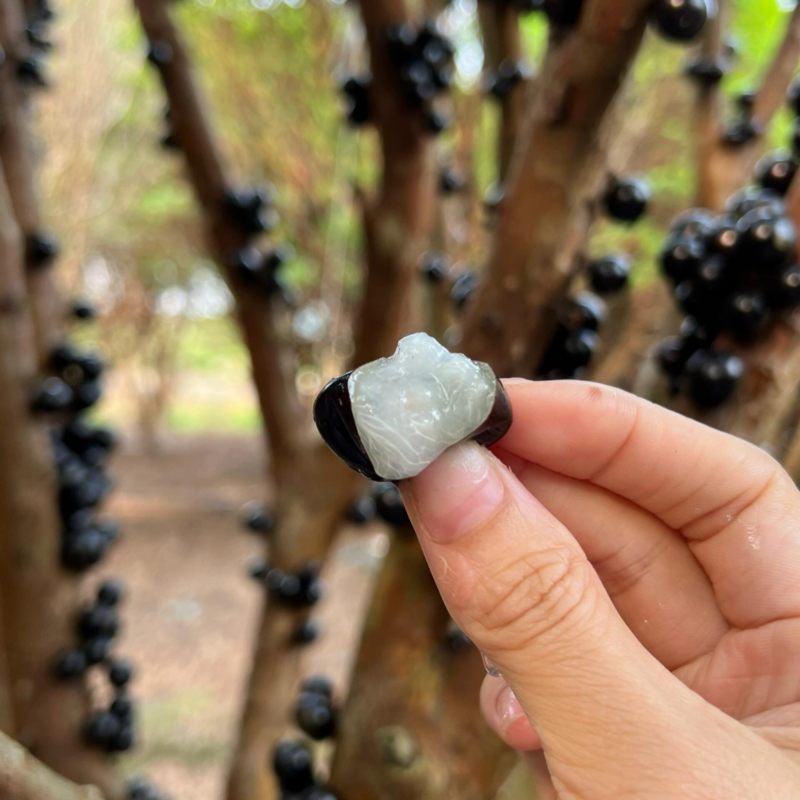 嘉宝果云南热带水果风味口感好营养价值高按需做货
