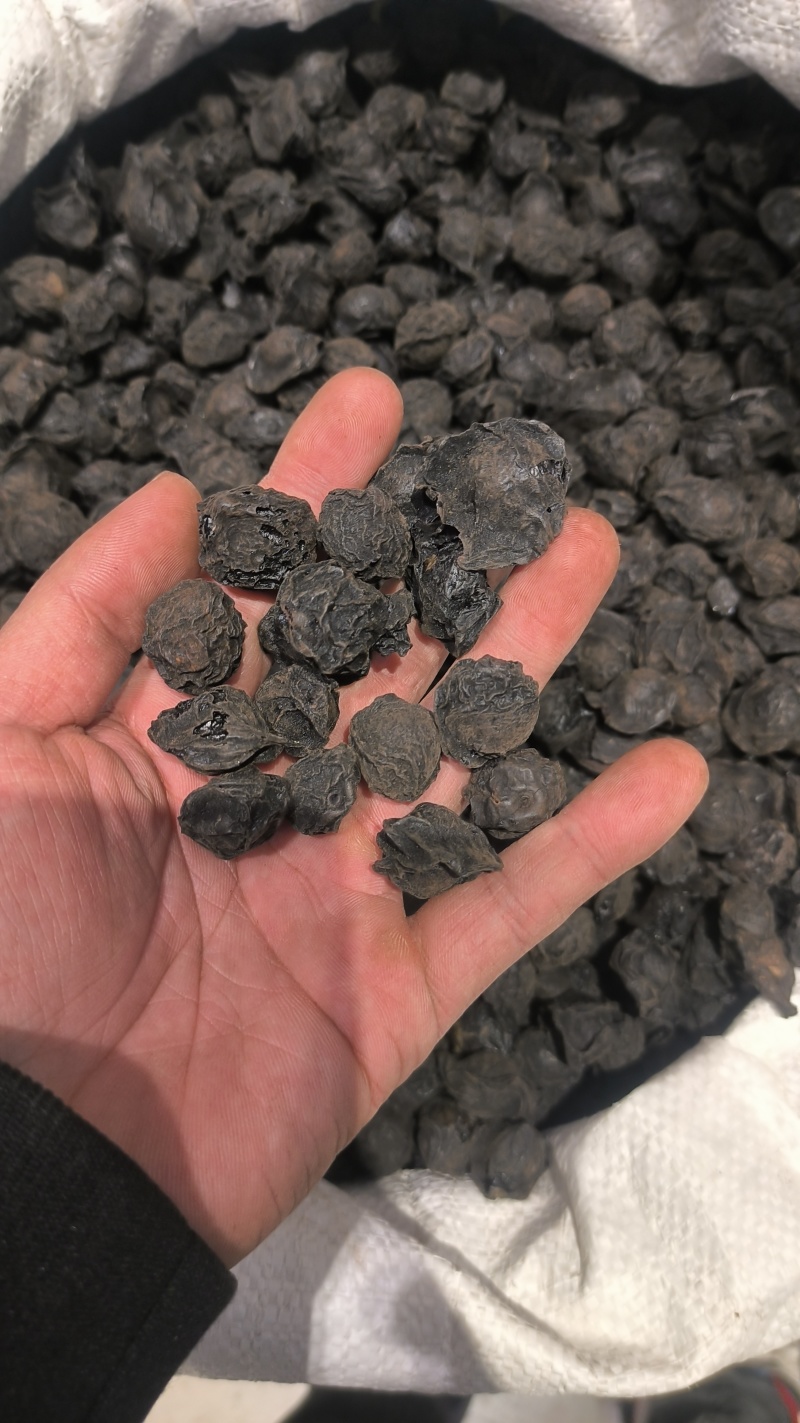 乌梅乌梅肉乌梅干质量保证批发零售各种中药材农副产品…