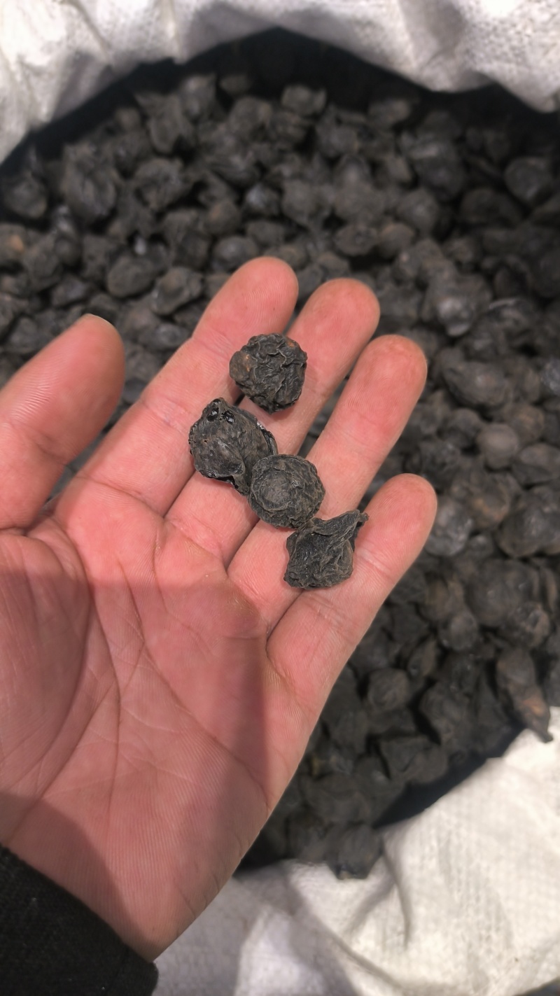 乌梅乌梅肉乌梅干质量保证批发零售各种中药材农副产品…