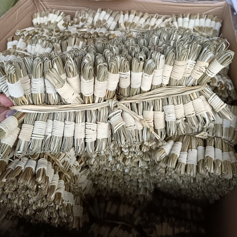 灯芯草1件400个日照晒干无硫江西灯芯草基地直供