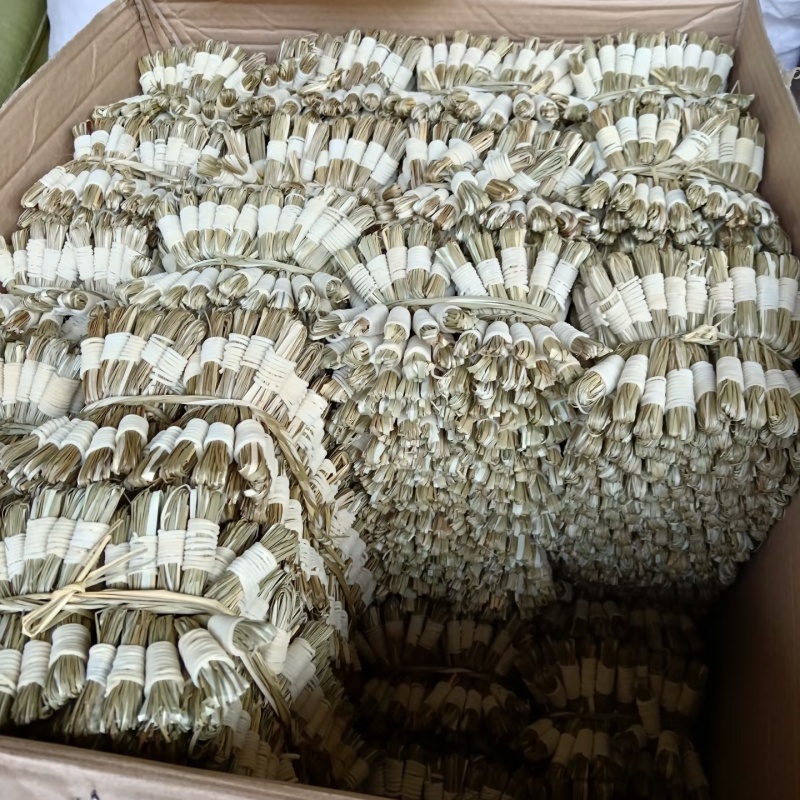 灯芯草1件400个日照晒干无硫江西灯芯草基地直供