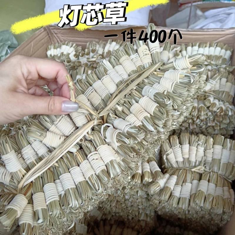 灯芯草1件400个日照晒干无硫江西灯芯草基地直供