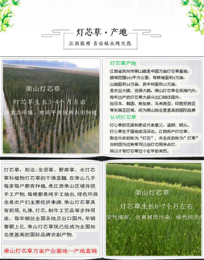 灯芯草整根带芯灯芯草（干货）可药用可编织