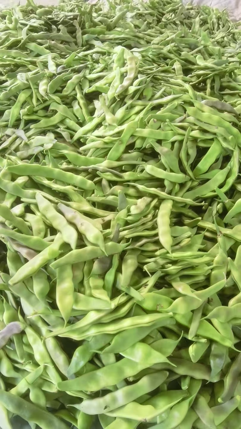 油豆