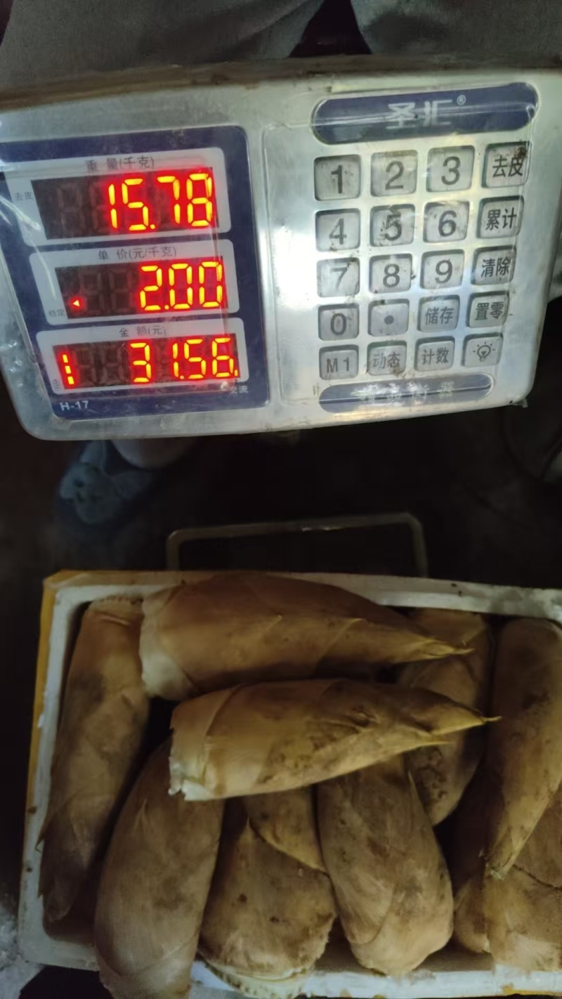湖南毛竹春笋现挖现卖，半斤上切头部分包邮
