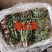 新鲜野生蒲公英近期上市火爆热卖中需要的联系