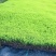 新鲜大棚种植，***无污染，健康绿色，多用途，快来选购！