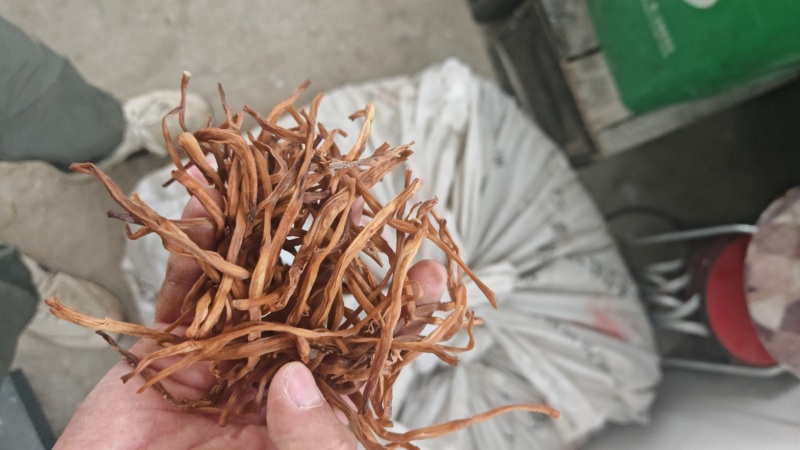 便宜黄花菜有需要的联系