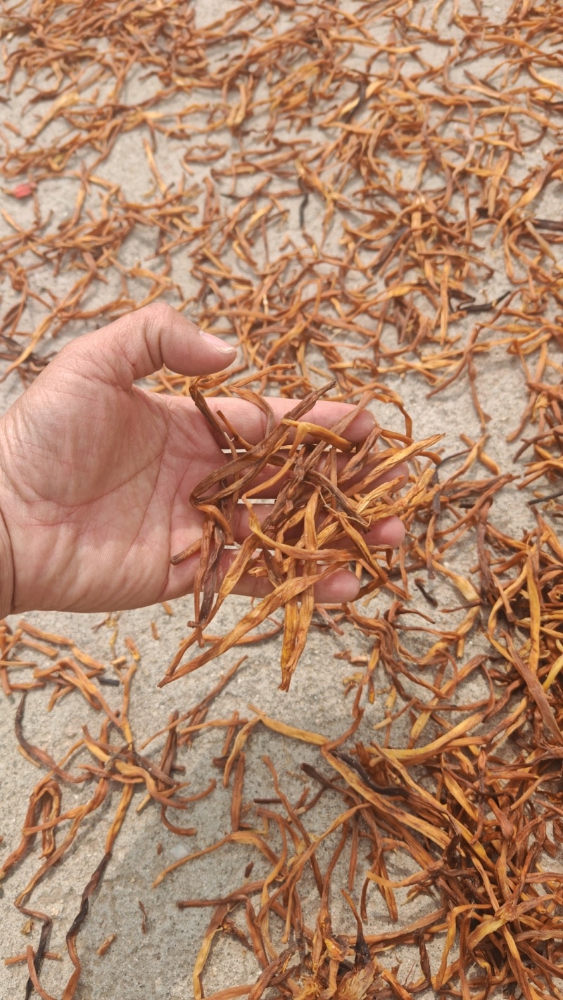 便宜黄花菜有需要的联系
