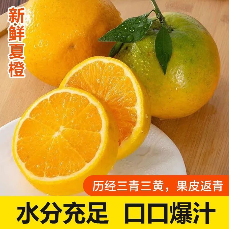 广西现摘夏橙当季新鲜橙子秭归脐橙水果当季脐橙手剥夏橙橙子