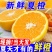 广西现摘夏橙当季新鲜橙子秭归脐橙水果当季脐橙手剥夏橙橙子
