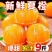 广西现摘夏橙当季新鲜橙子秭归脐橙水果当季脐橙手剥夏橙橙子