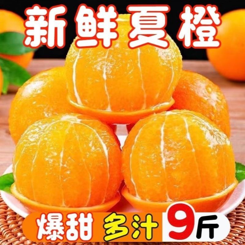 广西现摘夏橙当季新鲜橙子秭归脐橙水果当季脐橙手剥夏橙橙子