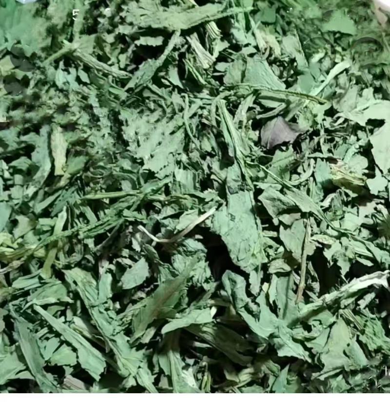 食叶草干莱
