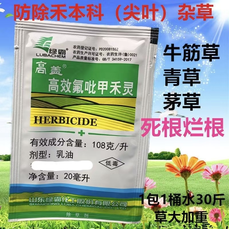 大葱除草剂，香葱圆葱大蒜韭菜，禾阔双除不伤作物