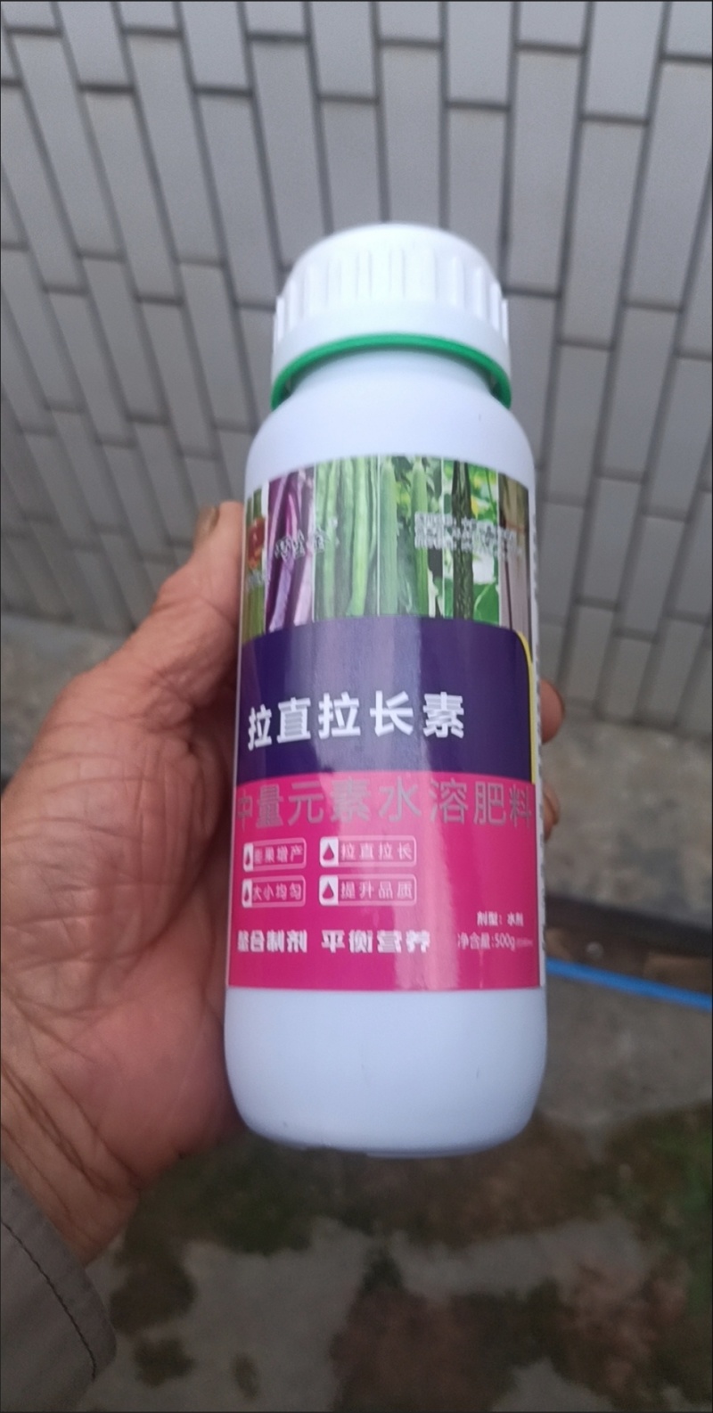 拉，长拉，直素豆角辣椒黄瓜丝瓜茄子毛豆等，枝条粗壮结实