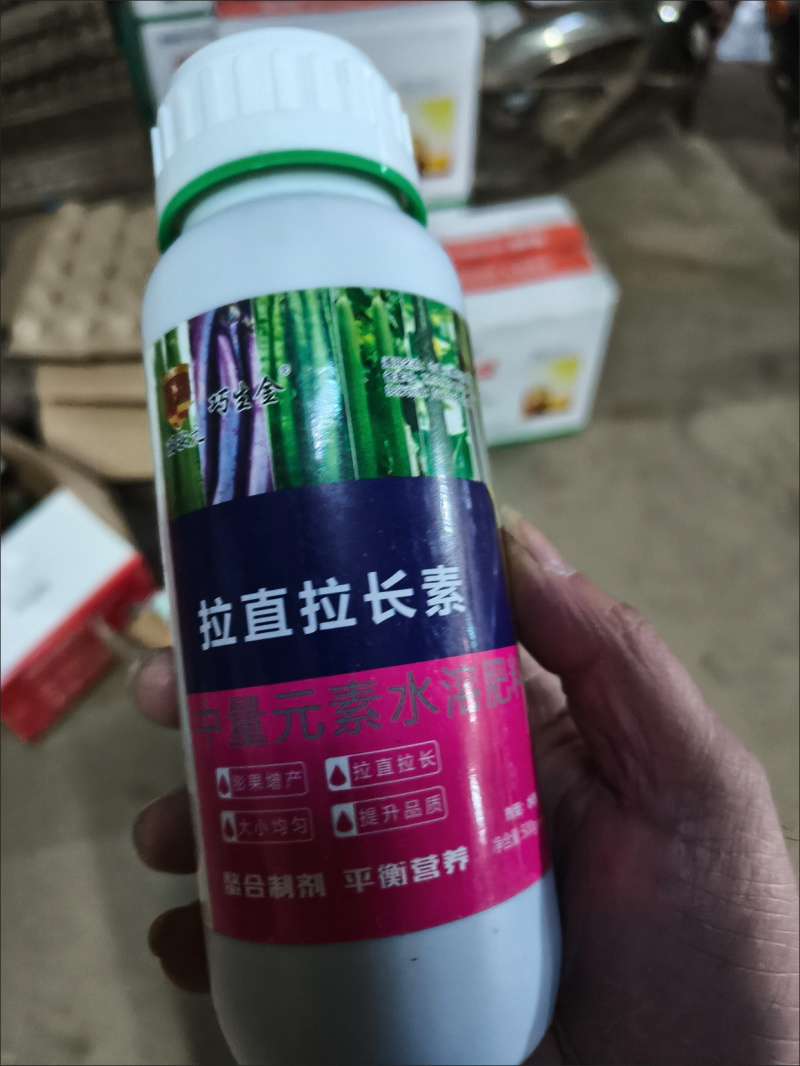 拉，长拉，直素豆角辣椒黄瓜丝瓜茄子毛豆等，枝条粗壮结实