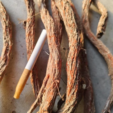 自家种植丹参，鲜货干货都有，质量有保证