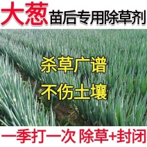 大葱专用苗后除草剂大蒜韭菜圆葱尖叶草圆叶草