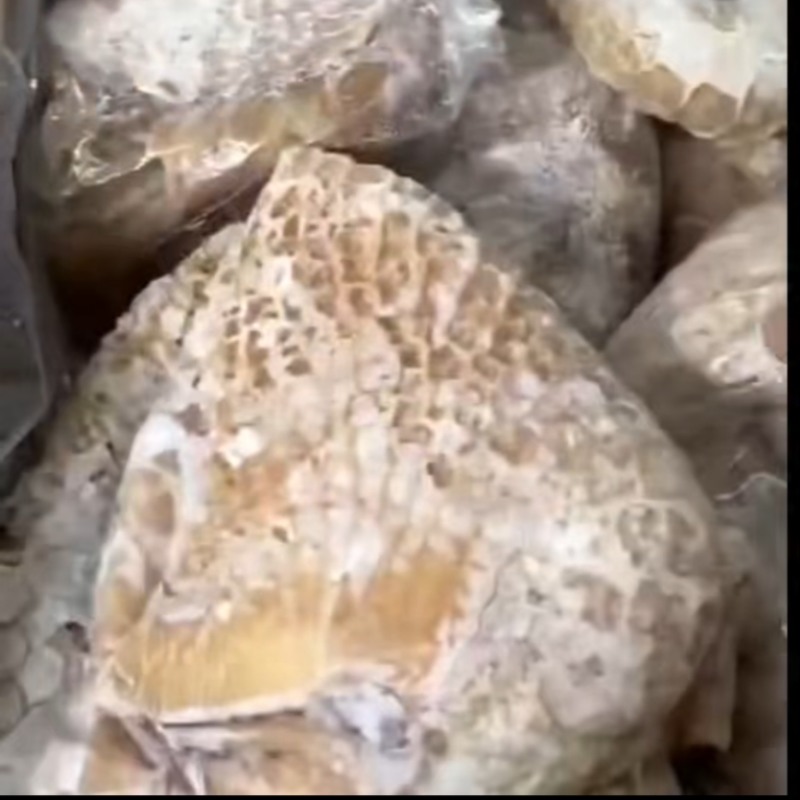 3675金肚，品质好，价格不高