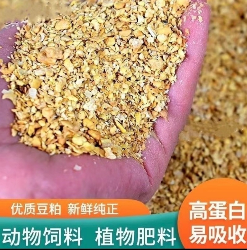 优质豆泊