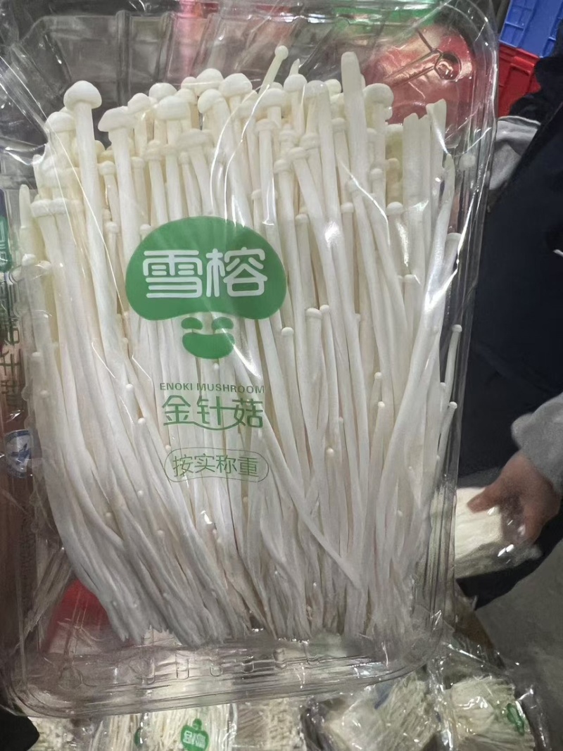 金针菇
