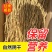 精品白条党参干货质量保证量大从优规格齐全欢迎咨询