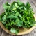 新鲜金花菜（草头）