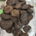新疆软质肉苁蓉片大芸大货批发一件代发