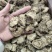 新疆软质肉苁蓉片大芸大货批发一件代发