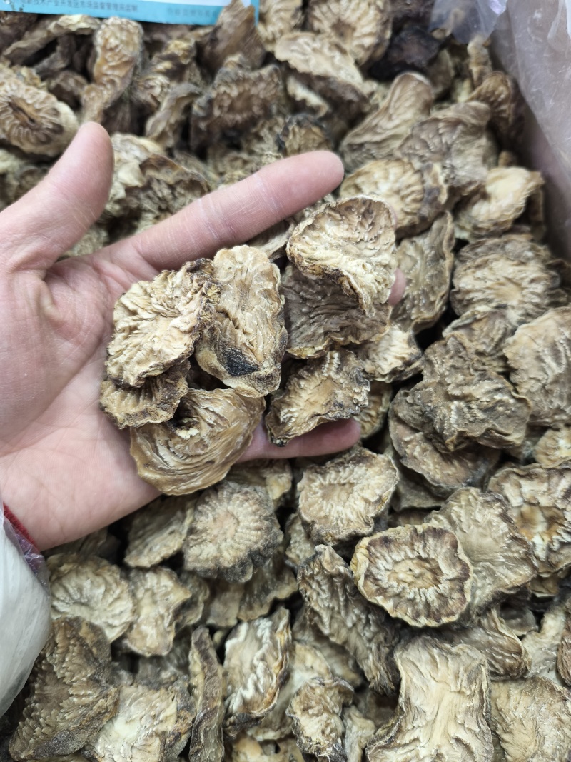 新疆软质肉苁蓉片大芸大货批发一件代发