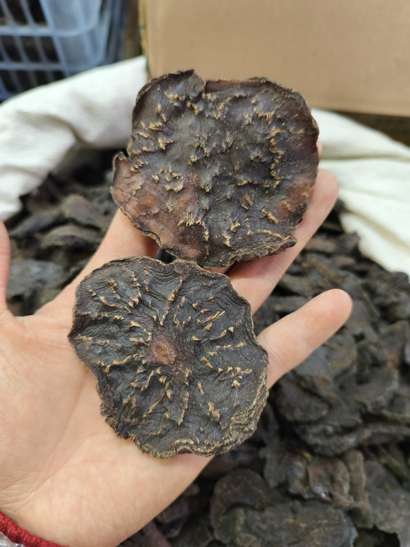 新疆软质肉苁蓉片大芸大货批发一件代发