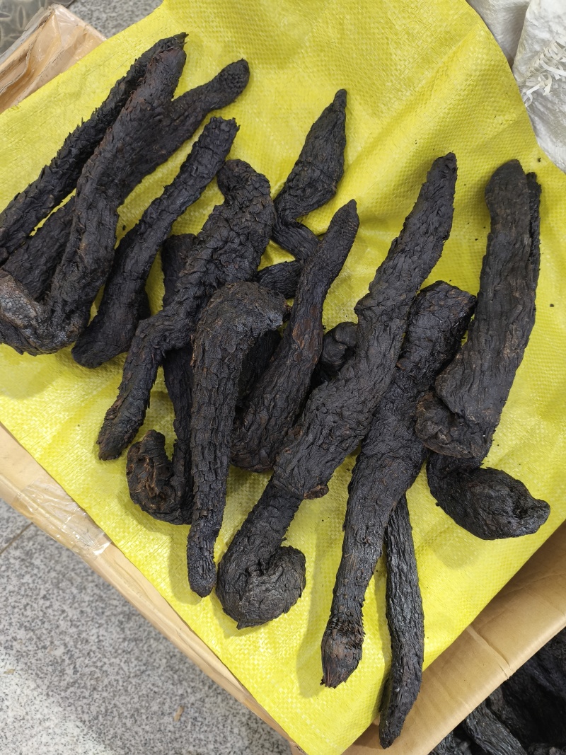 新疆软质肉苁蓉片大芸大货批发一件代发
