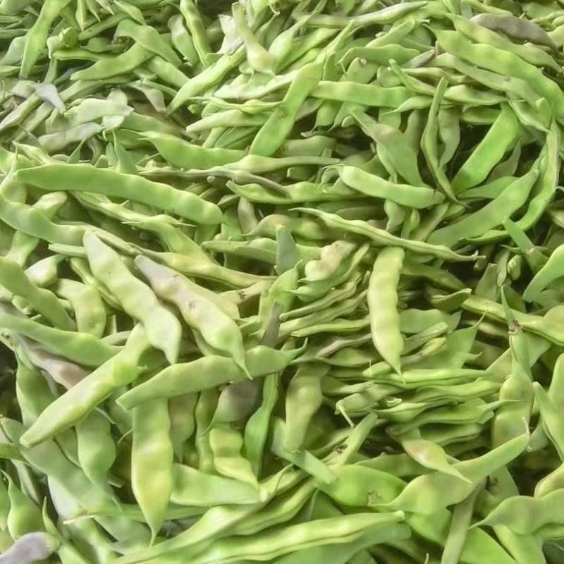 油豆