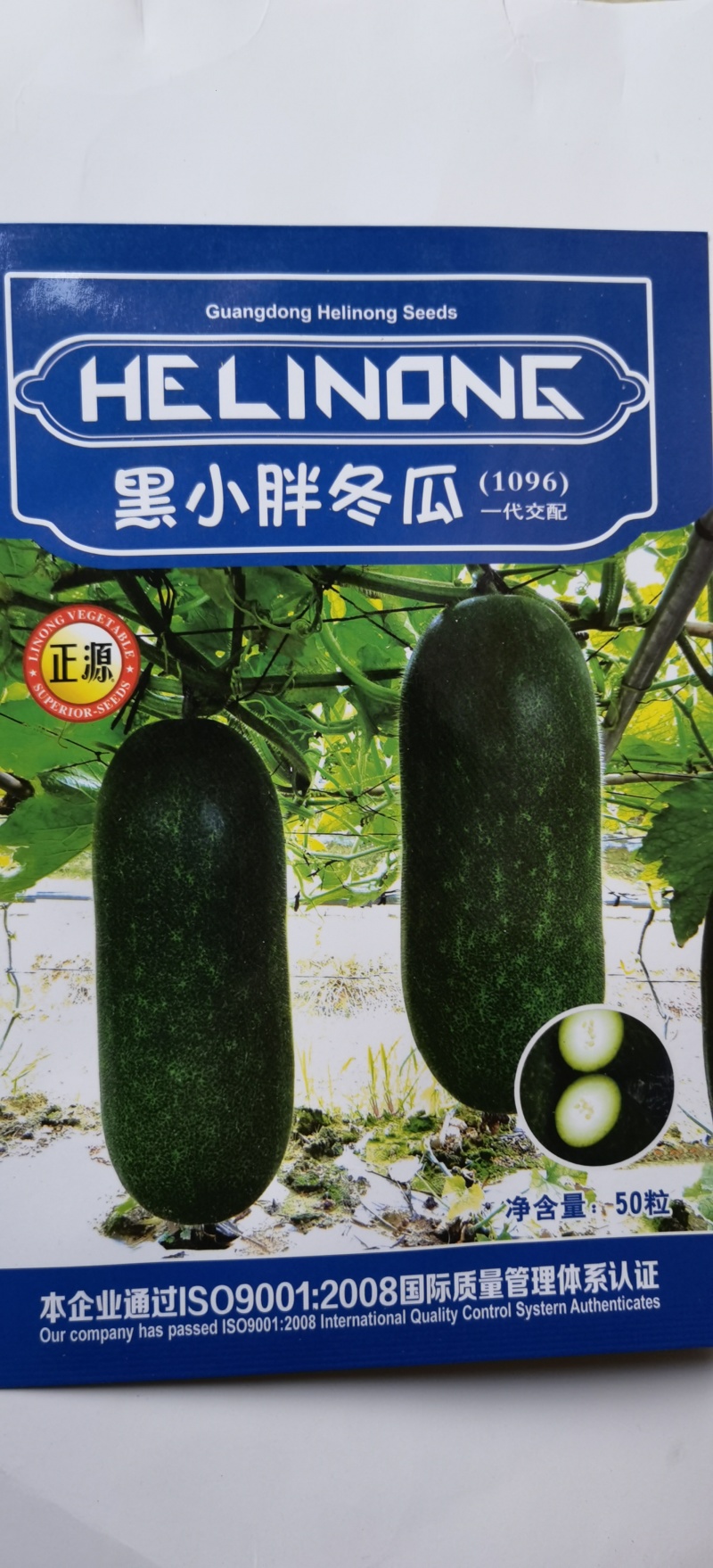 冬瓜种子黑小胖利农小型冬瓜品种老嫩兼用瓜形好品质好