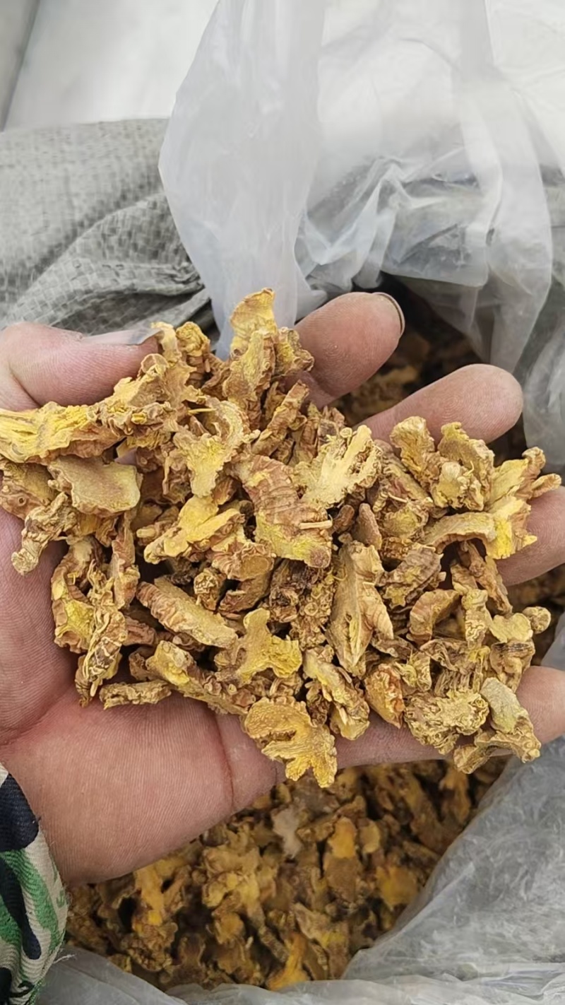 射干种子批发管回收一亩地需10斤种子可直上门拿货