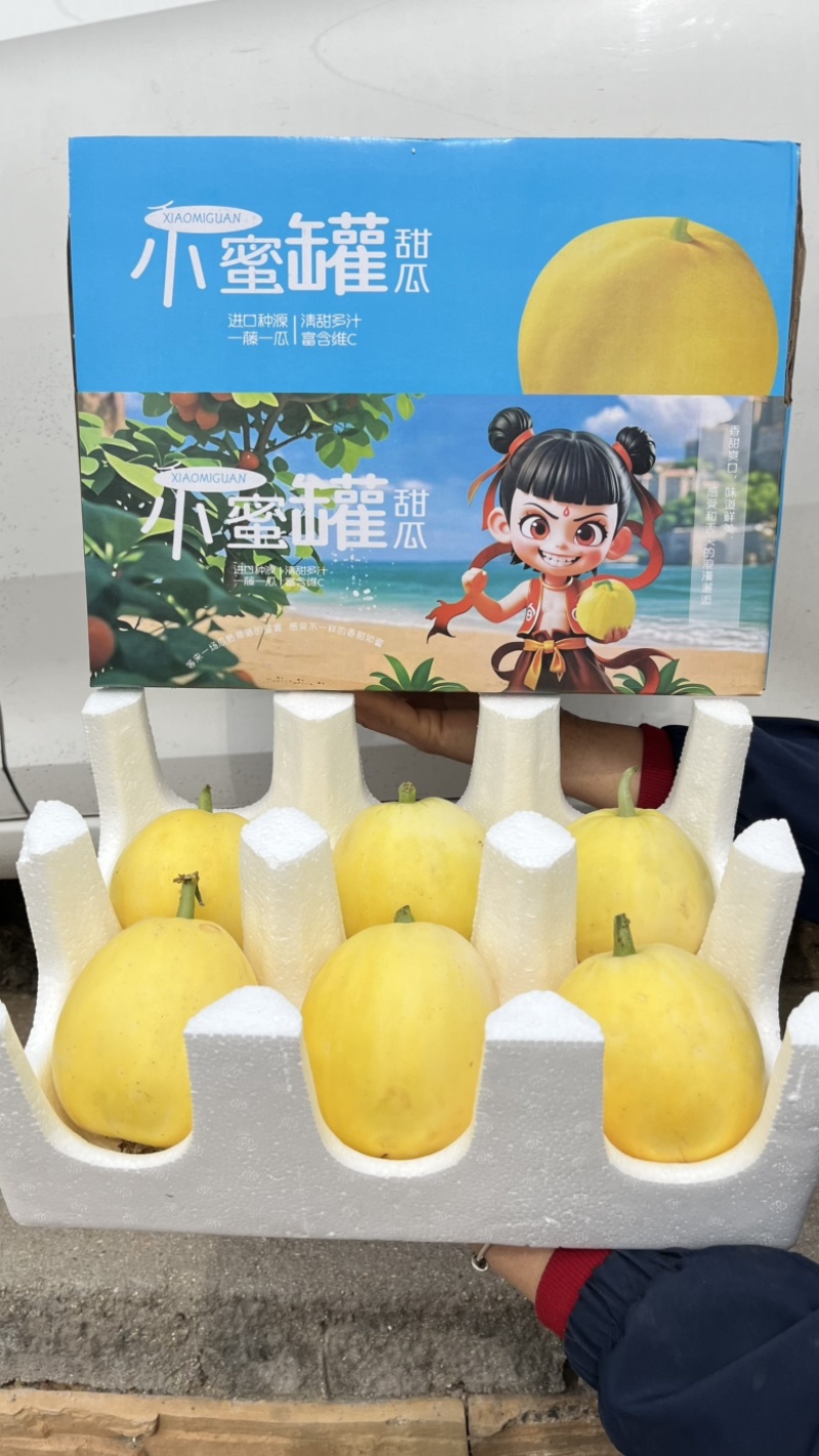 热销星甜20星甜甜瓜蜜罐小蜜蜂甜瓜4.5斤电商一件代发