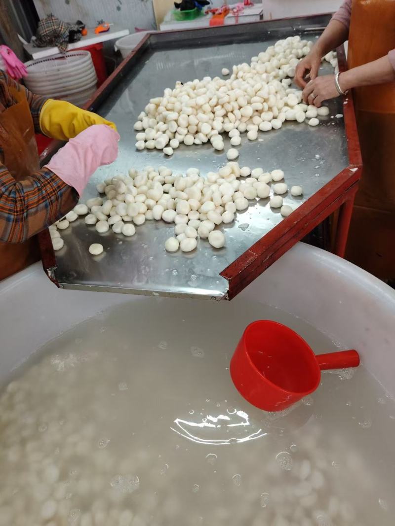 新鲜削皮马蹄，欢迎老板选购