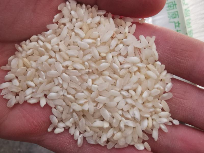 桂朝米、肠粉米、粿条米粉米，圆早米***********