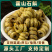 铁皮石斛霍山铁皮石斛规格齐全可供实体店批发零售