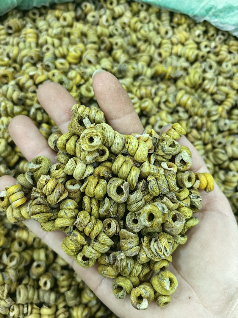 铁皮石斛霍山铁皮石斛规格齐全可供实体店批发零售